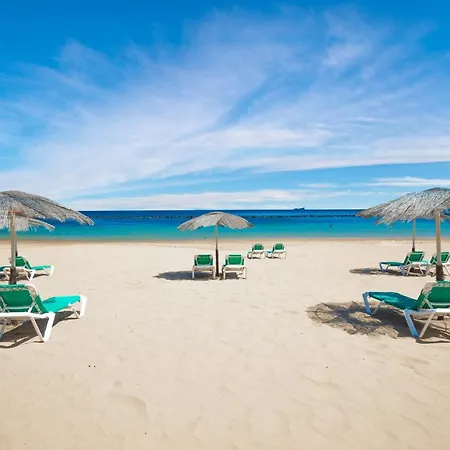 Apto Drago Holidays Σάντα Κρουζ Τενερίφης